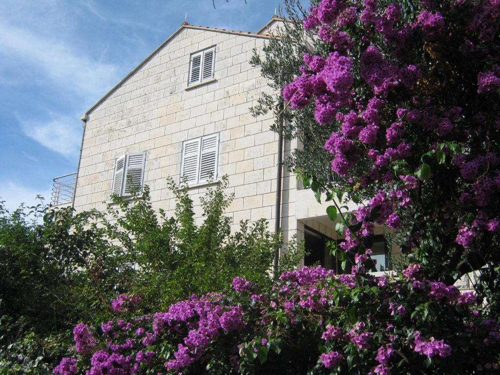 Apartments And Rooms Artemida Dubrovnik Exterior photo